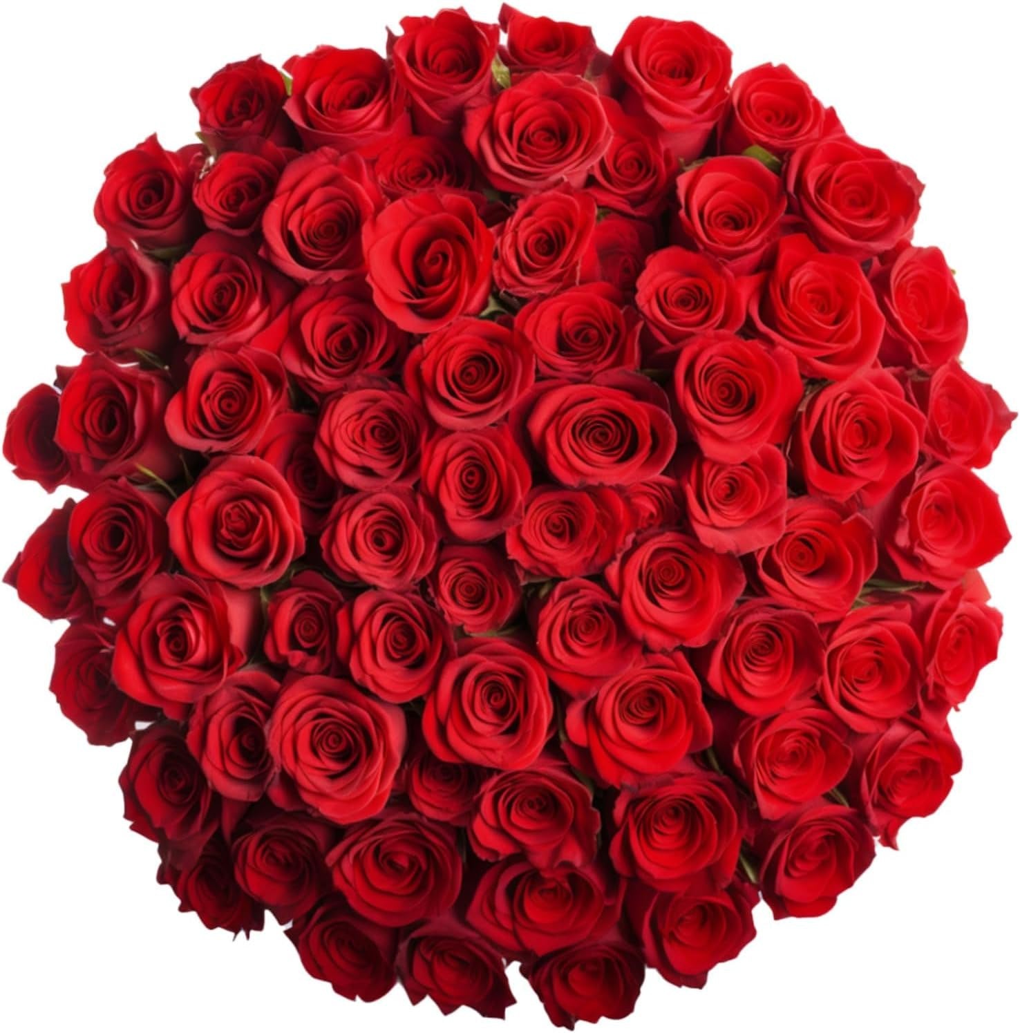 GlobalRose 100 Red Roses Bouquet