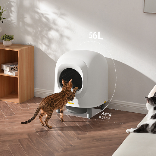 Cat Hygiene Bundle